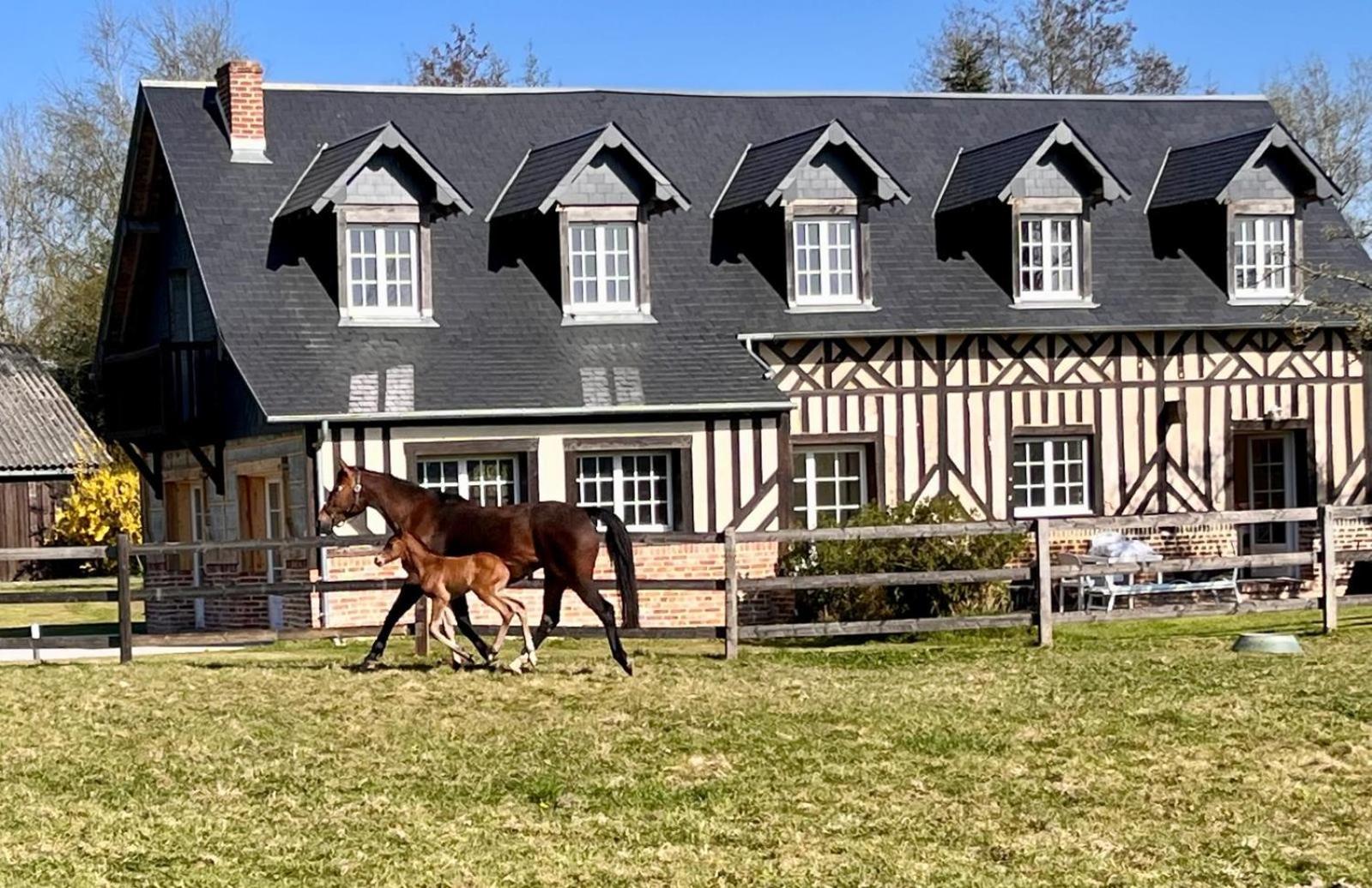 La Longere Du Haras Apartment Manerbe Exterior photo